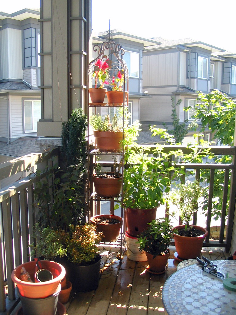 The Environmental Benefits of a‍ Balcony Garden: Reducing Your Ecological Footprint