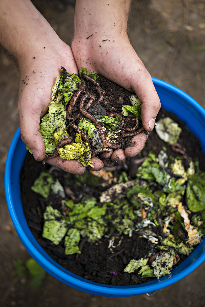 Essential‍ Steps to Start ​Composting in Your‌ Yard