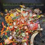 Le compostage à la maison : Réduisez vos déchets et enrichissez votre sol