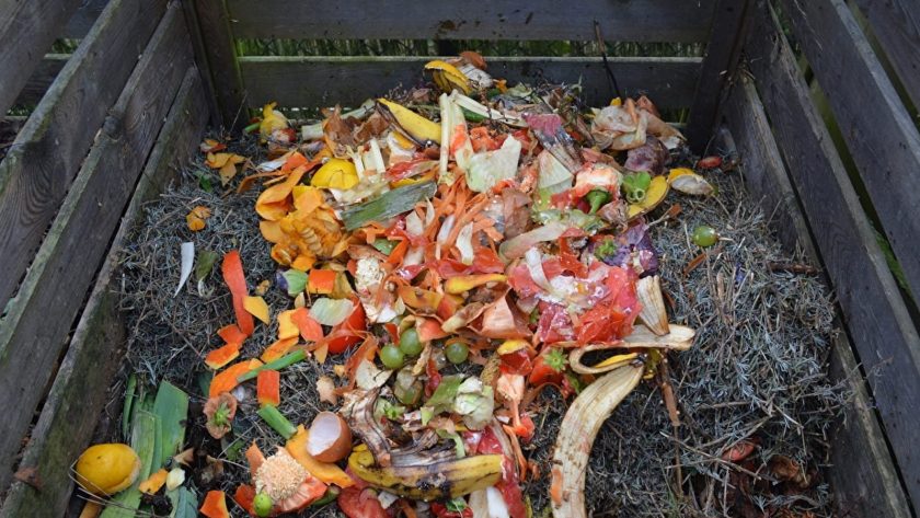 Le compostage à la maison : Réduisez vos déchets et enrichissez votre sol