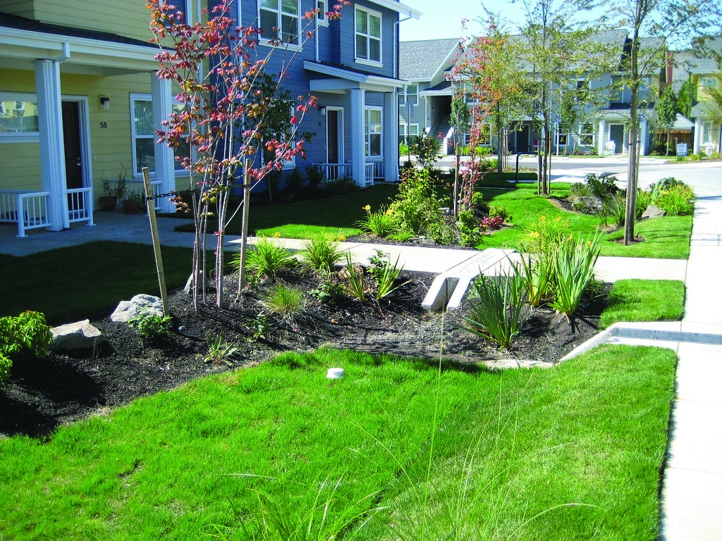 1.‍ Embracing Sustainable⁣ Landscaping: The Concept of Rain Gardens⁤ for Effective ​Water⁢ Management