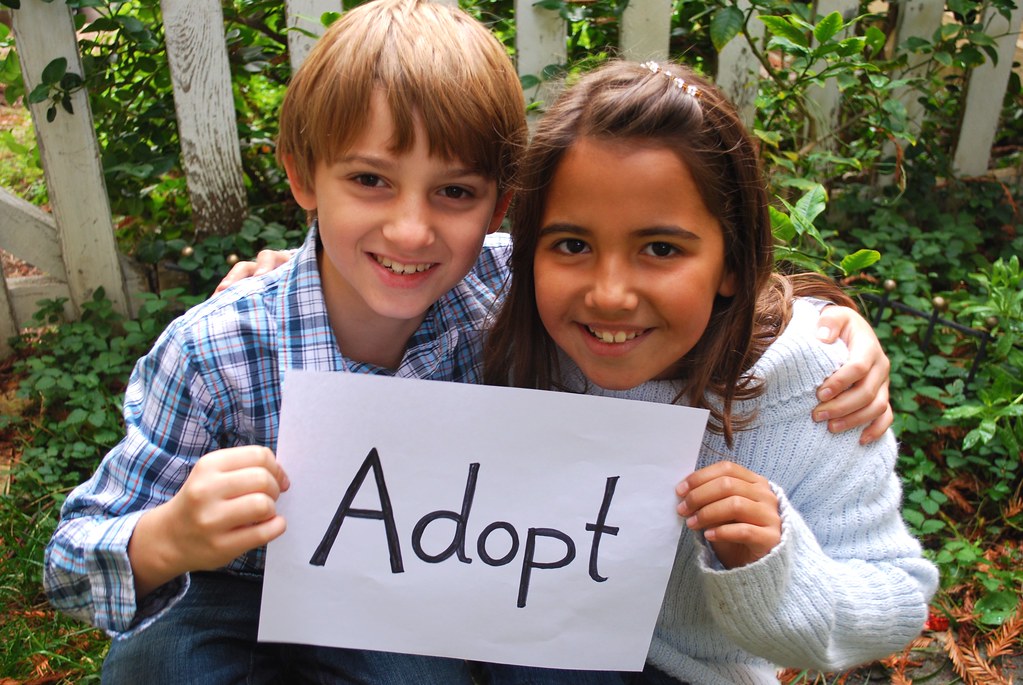 Encouraging Responsible⁤ Adoption:‍ Key‍ Considerations ⁢and Step-by-Step Guidelines