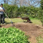 Les avantages insoupçonnés du jardinage biologique pour la planète